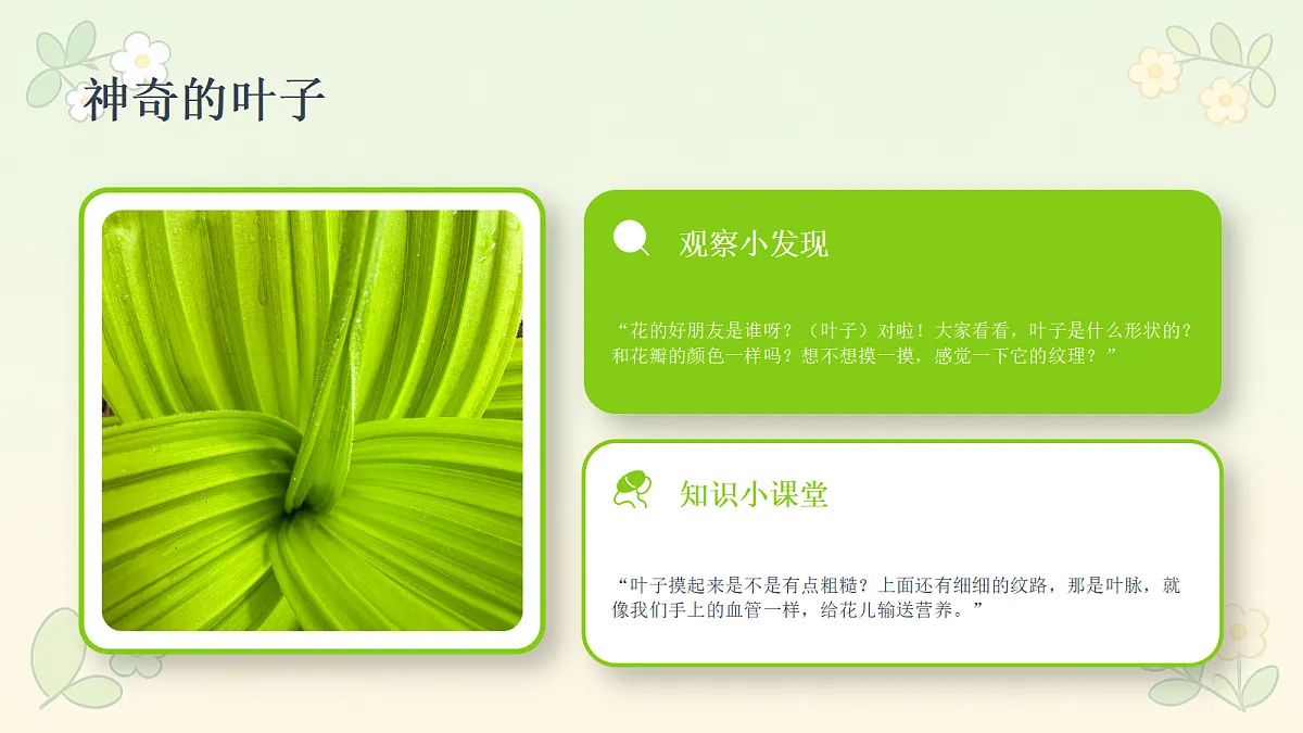 18286896第7页