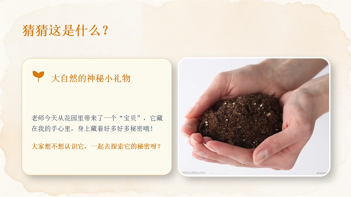 18286903第2页