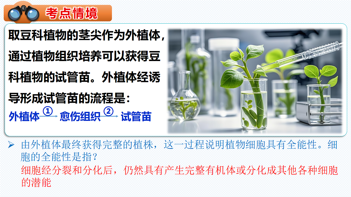 18287935第3页