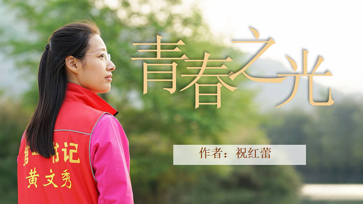 18288721第3页
