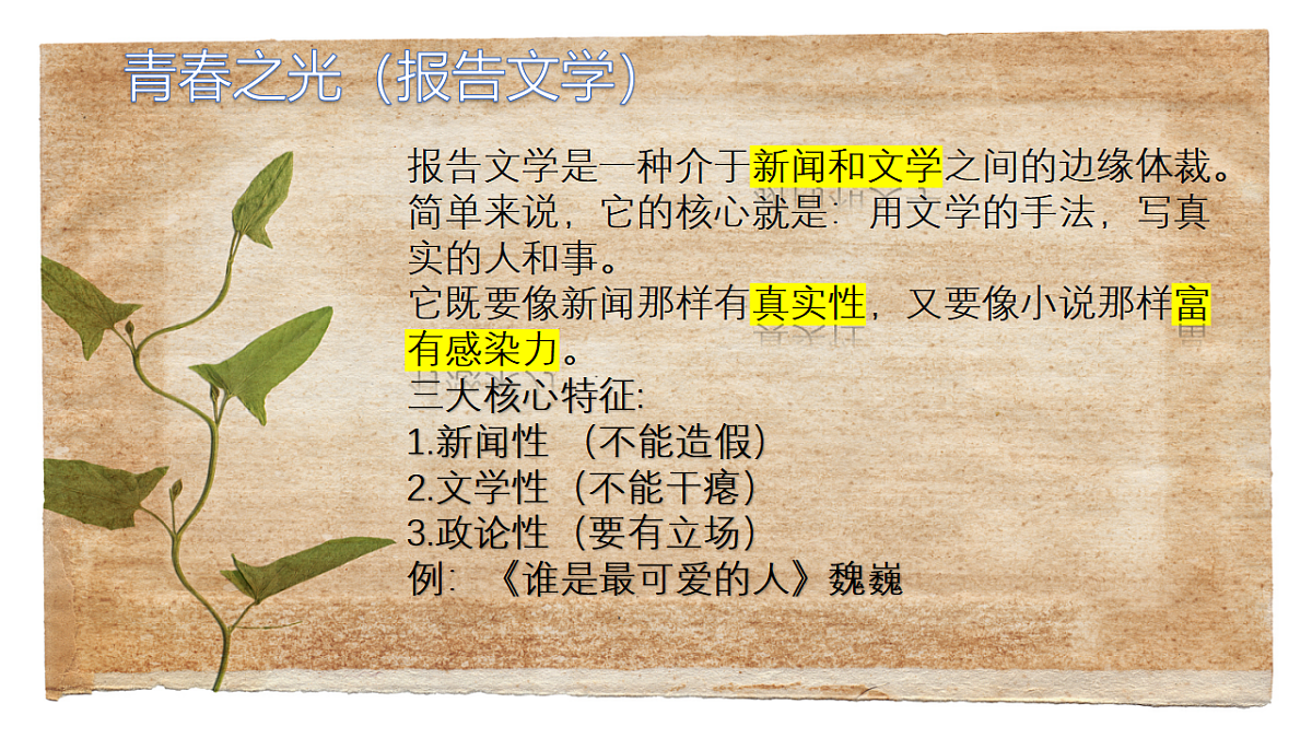 18288721第5页
