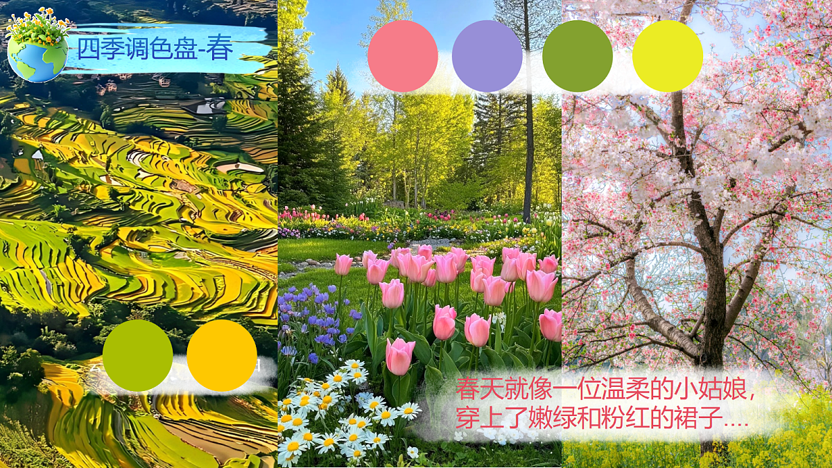 5.1《地球家园》PPT课件第4页