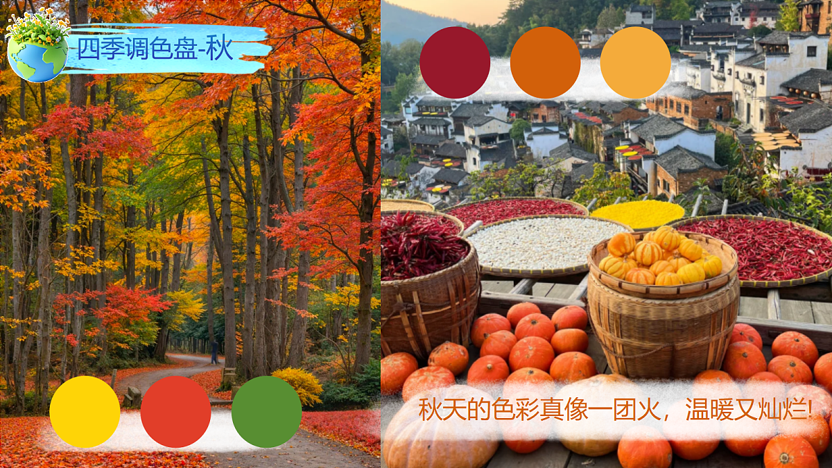 5.1《地球家园》PPT课件第6页