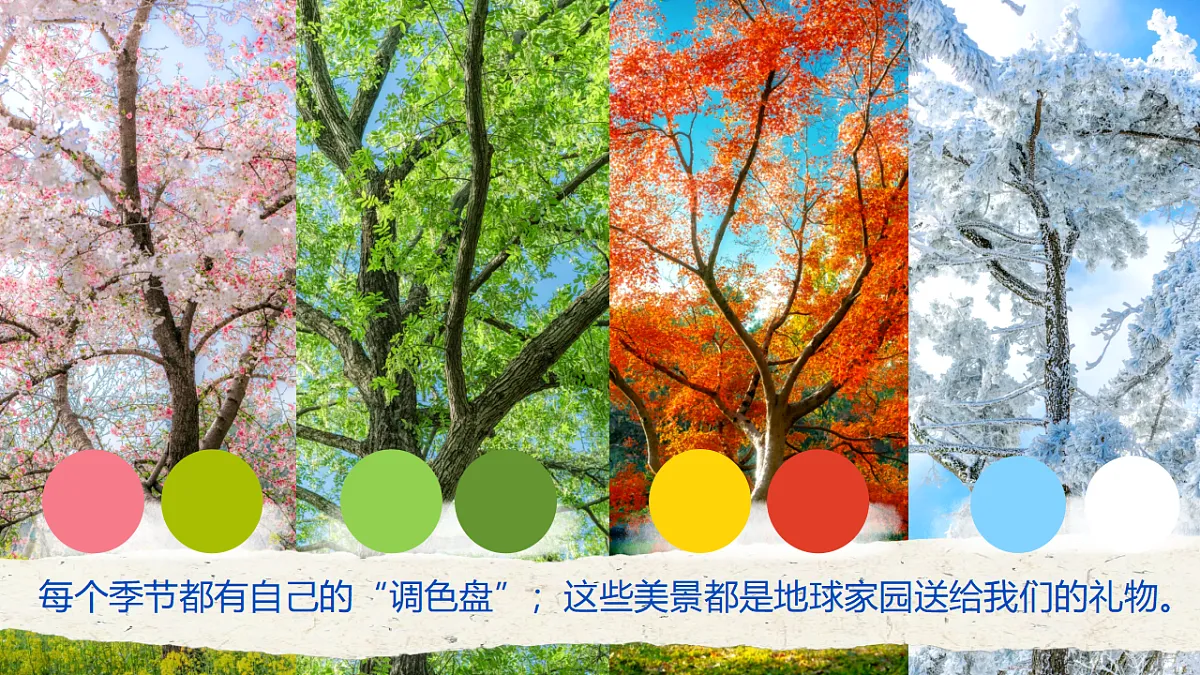 5.1《地球家园》PPT课件第8页