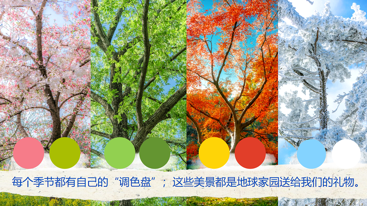5.1《地球家园》PPT课件第8页
