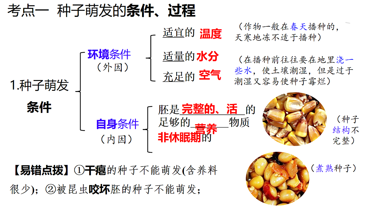 18292580第2页