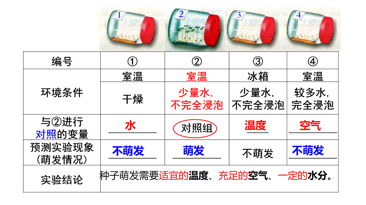 18292580第4页