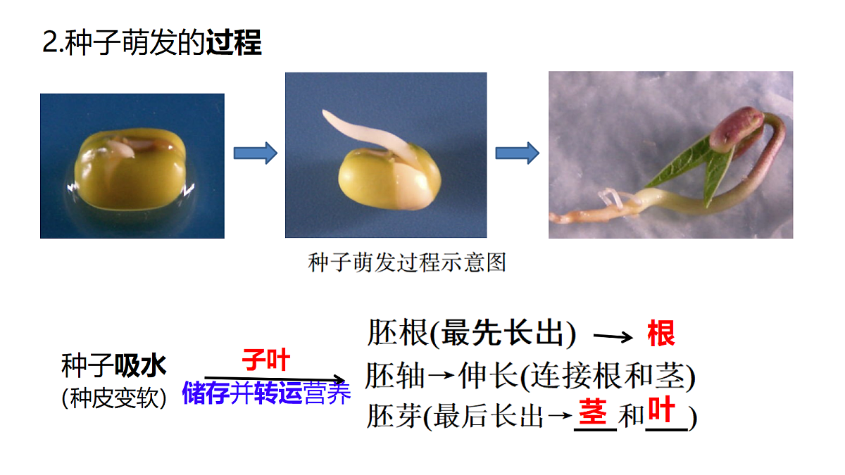 18292580第5页