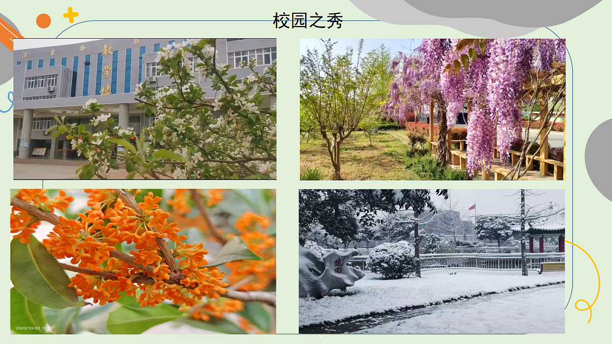18292621第4页