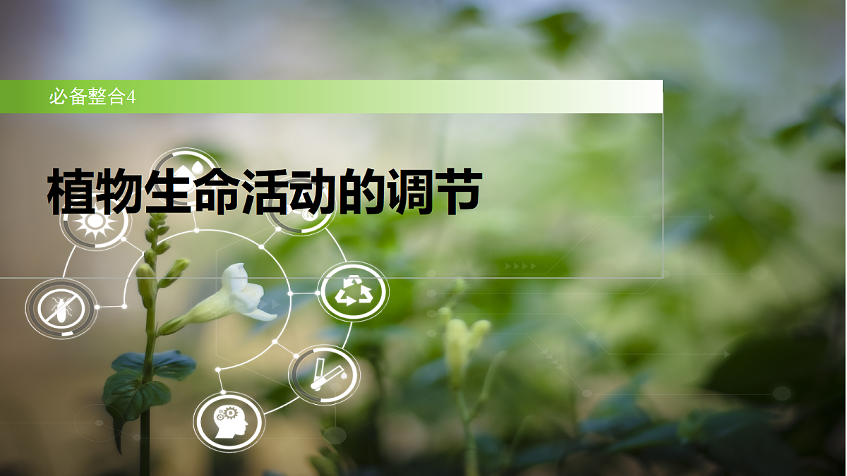 18292627第2页