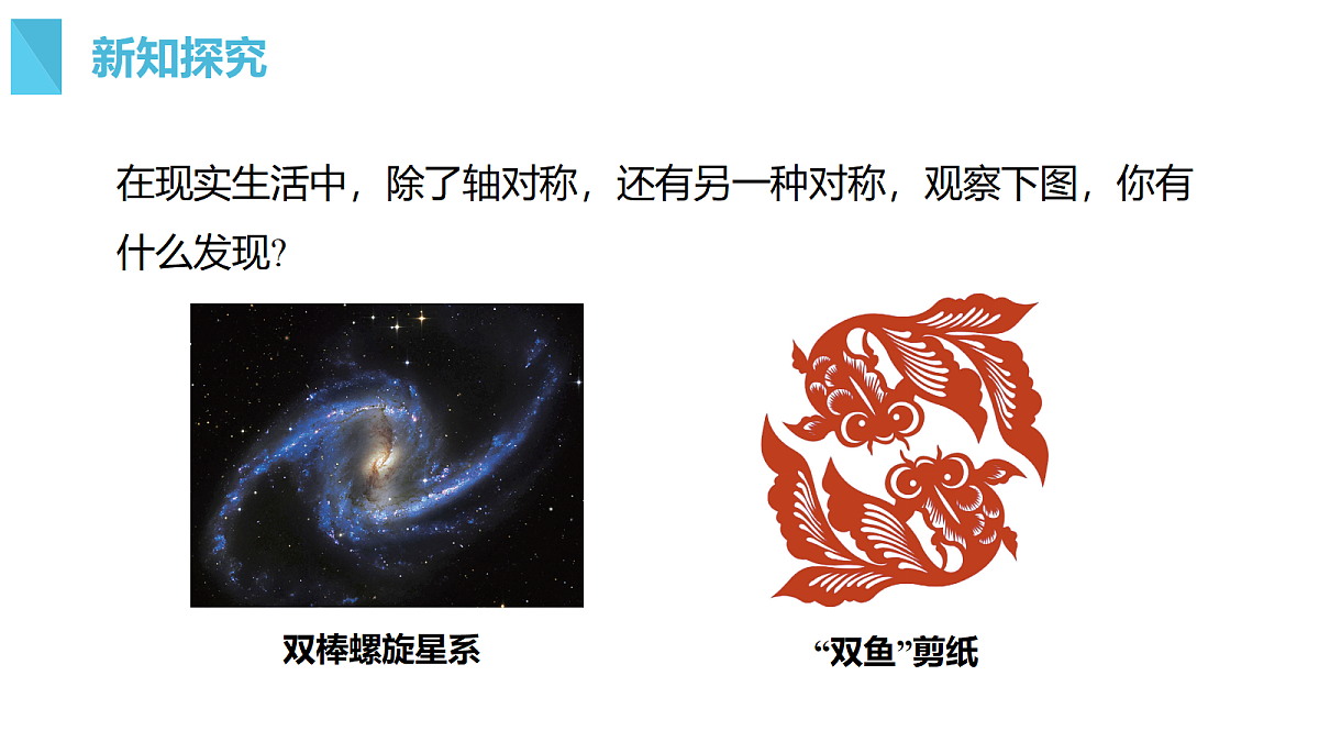 18293418第5页