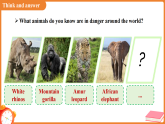 Unit 5 Wild animals（Project ）课件 （新教材）初中英语沪教牛津（五四制2024）七年级下册
