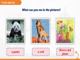 Unit 5 Wild animals（Discovery）课件 （新教材）初中英语沪教牛津（五四制2024）七年级下册