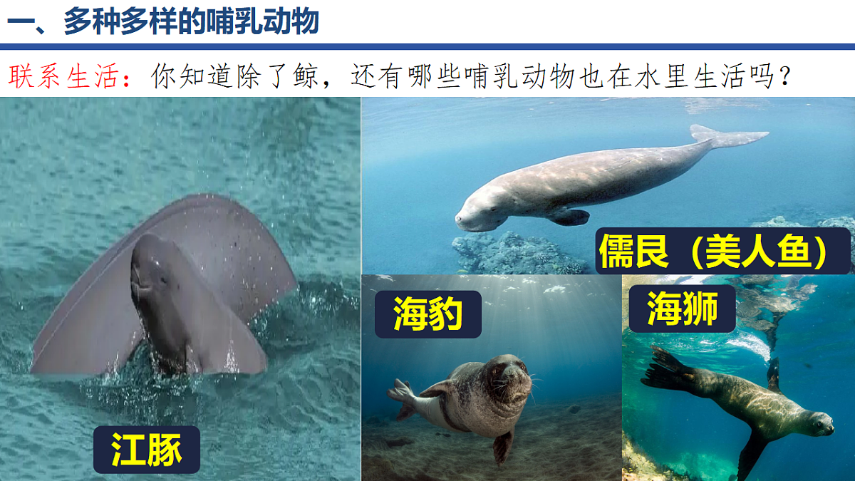 18295492第3页