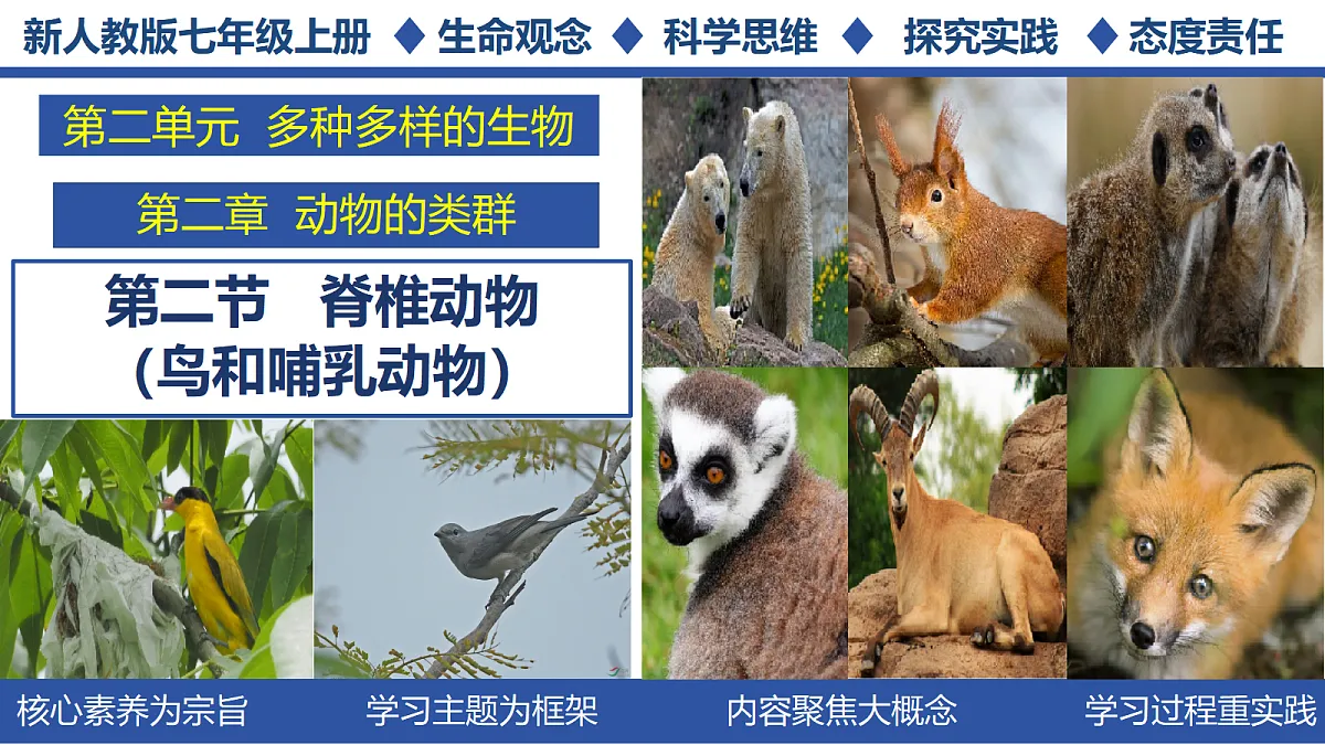 18295493第1页