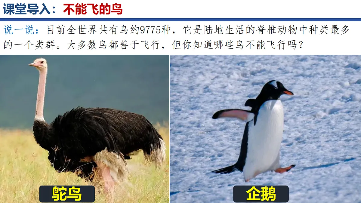 18295493第2页
