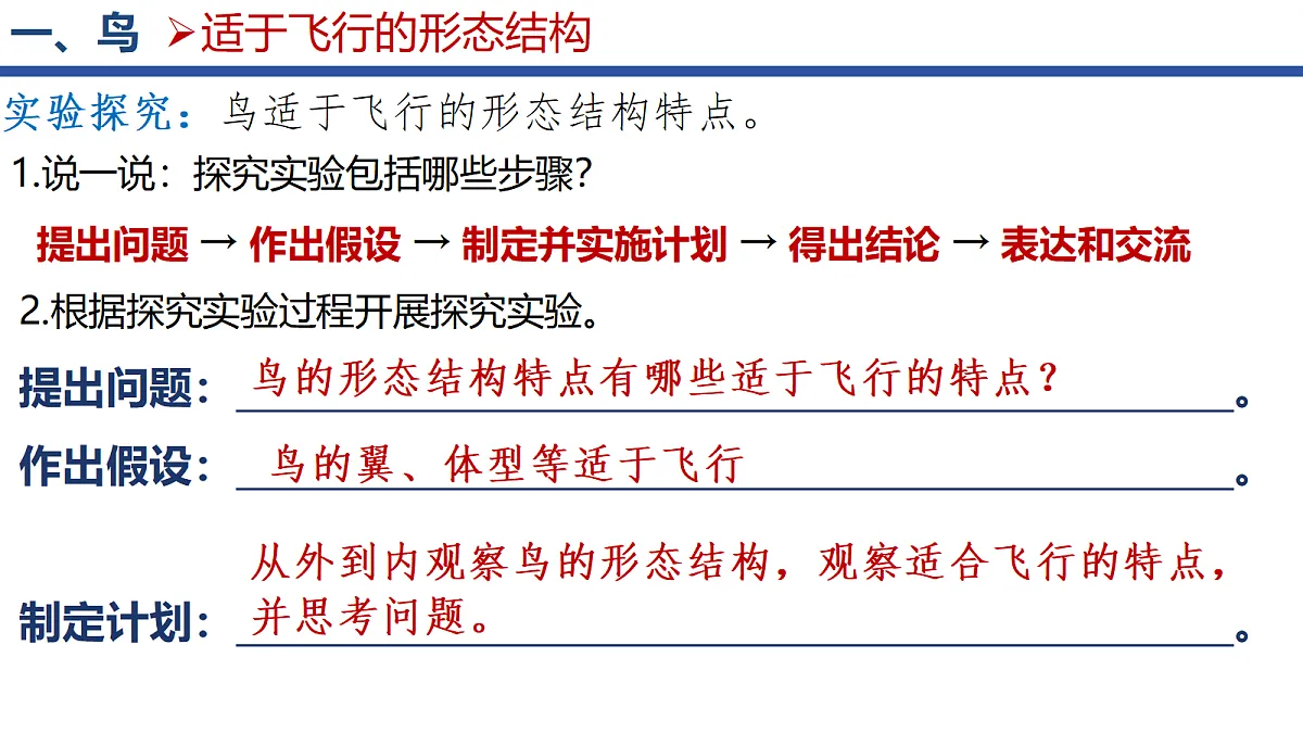 18295493第3页