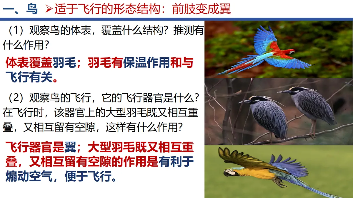 18295493第4页