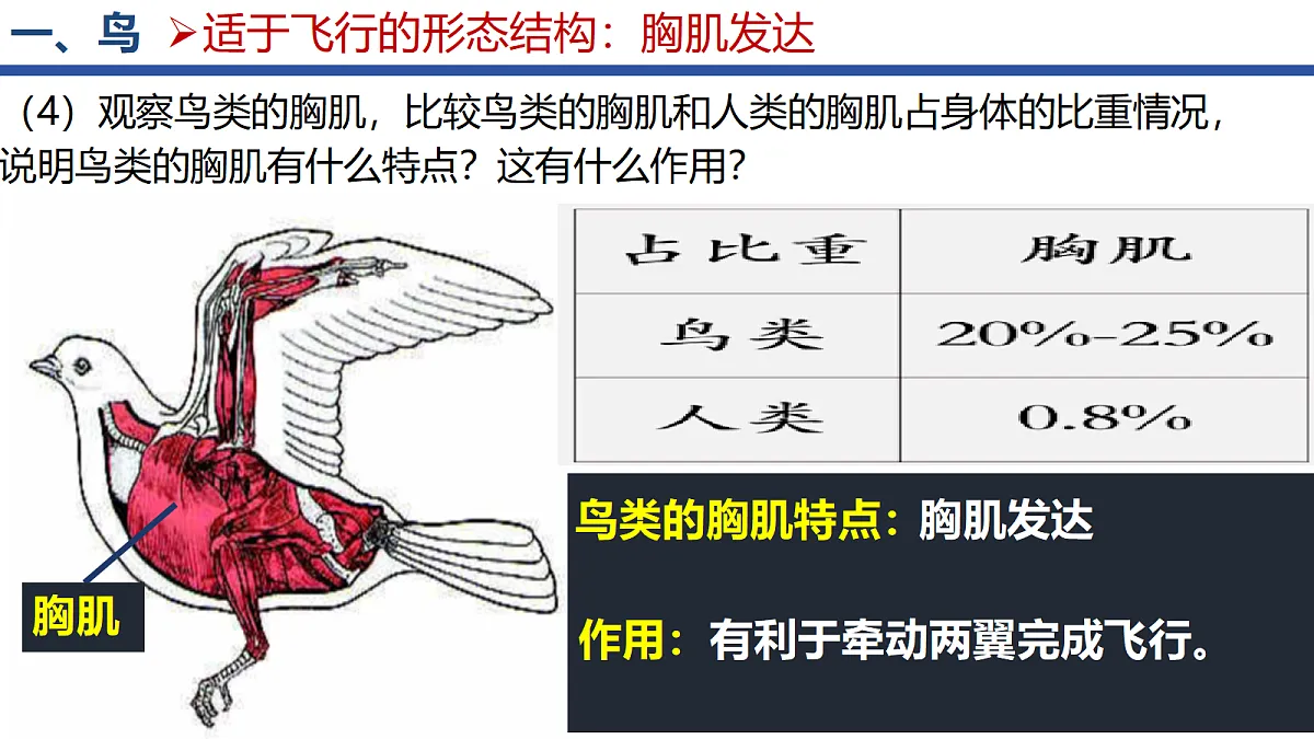 18295493第6页