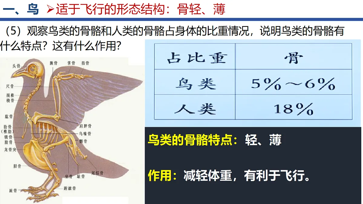18295493第7页