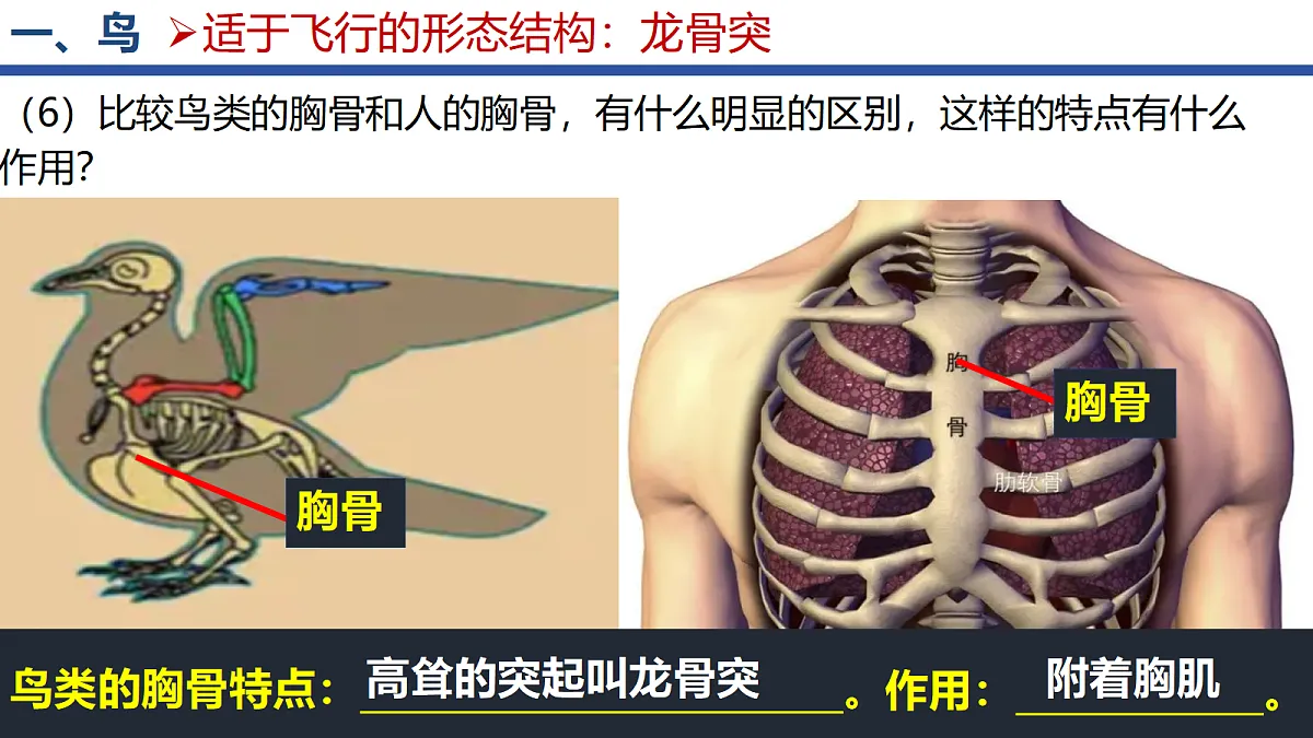 18295493第8页