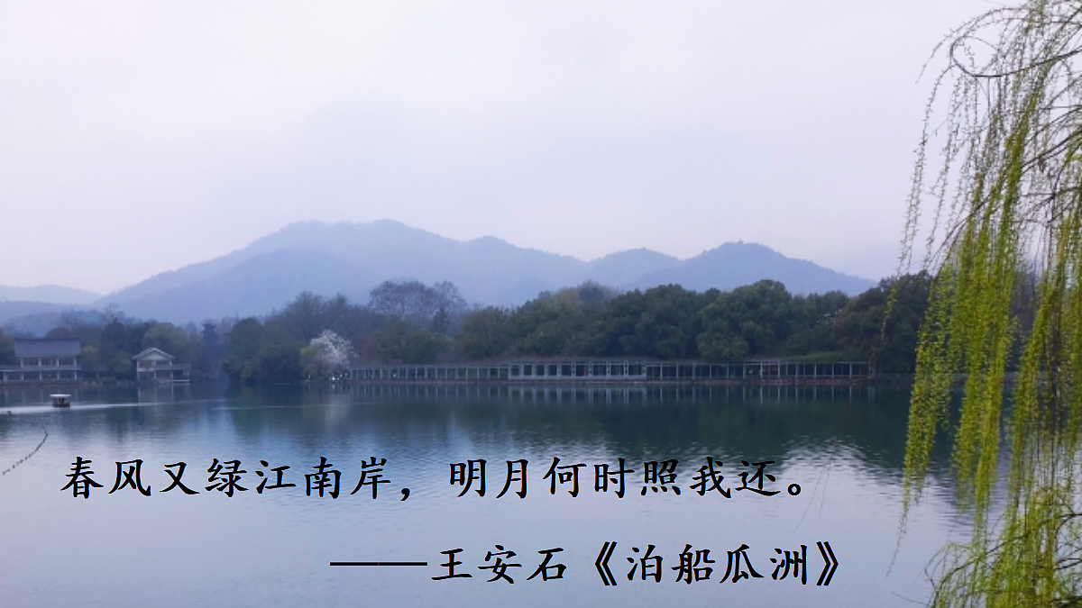 18295955第2页