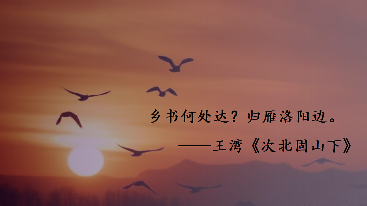18295955第3页
