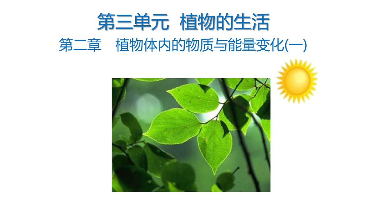 18296257第1页