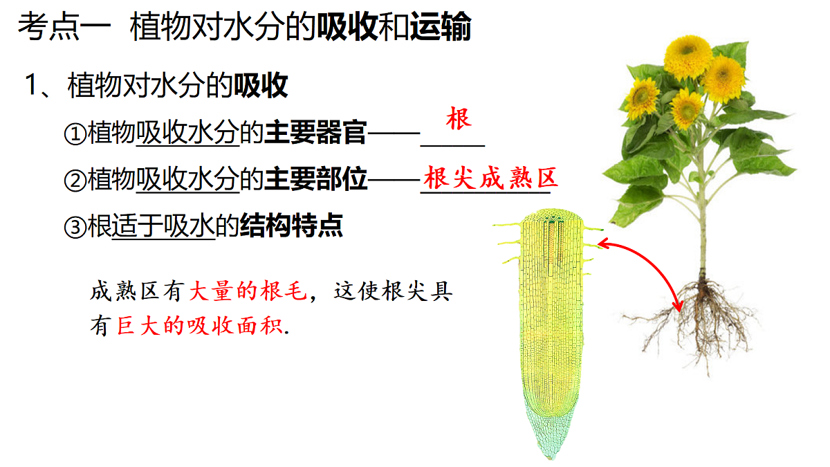 18296257第2页