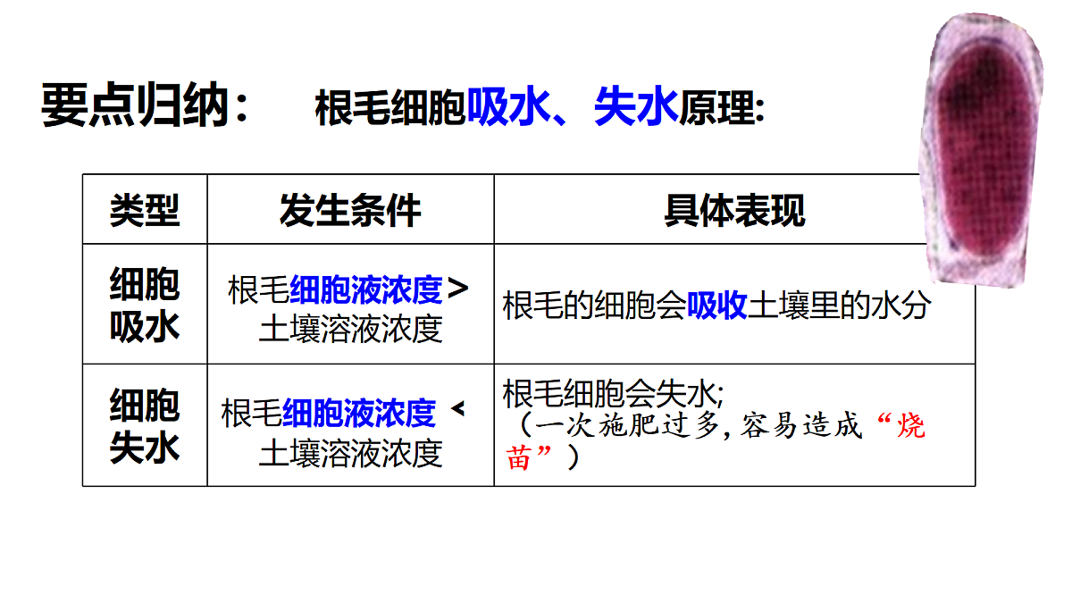 18296257第3页