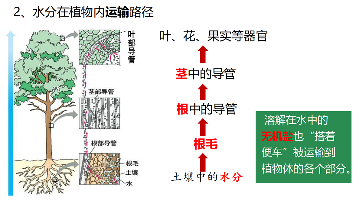 18296257第4页