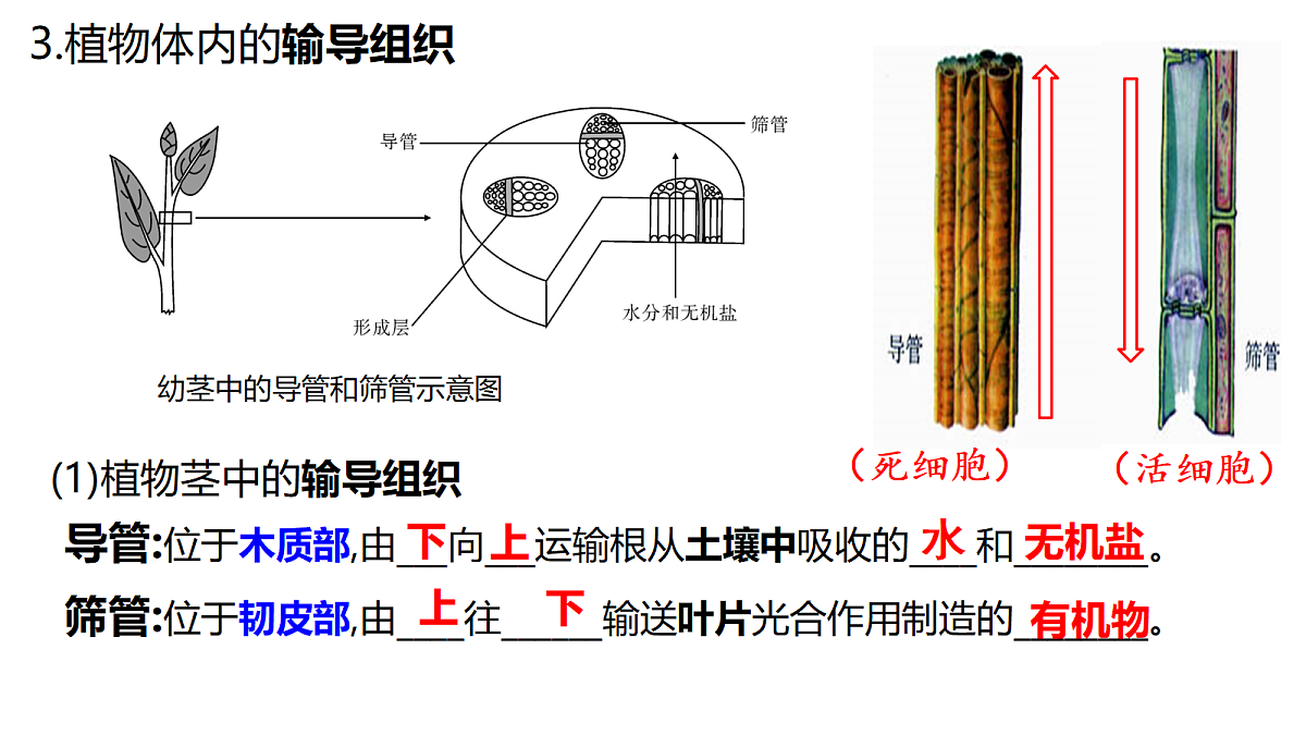 18296257第5页