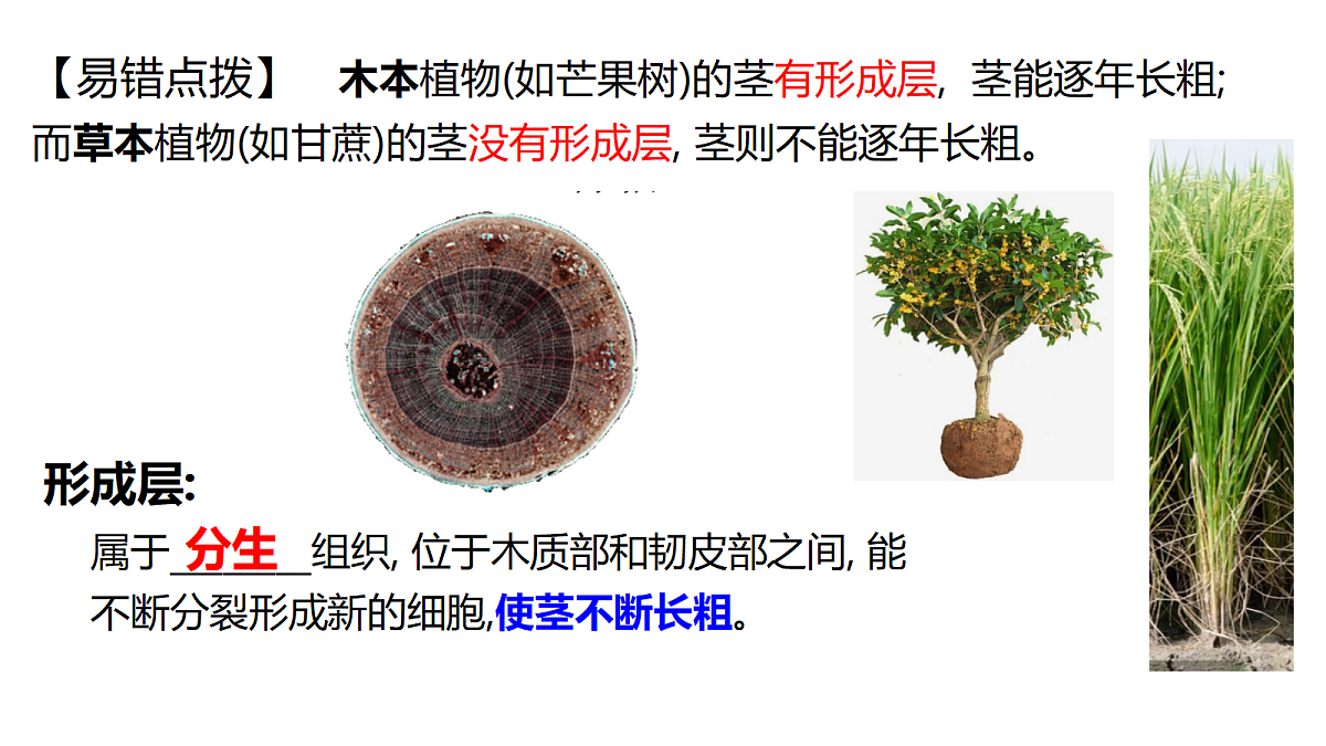 18296257第6页