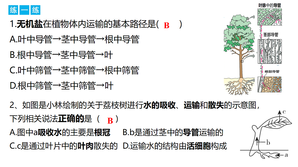 18296257第7页