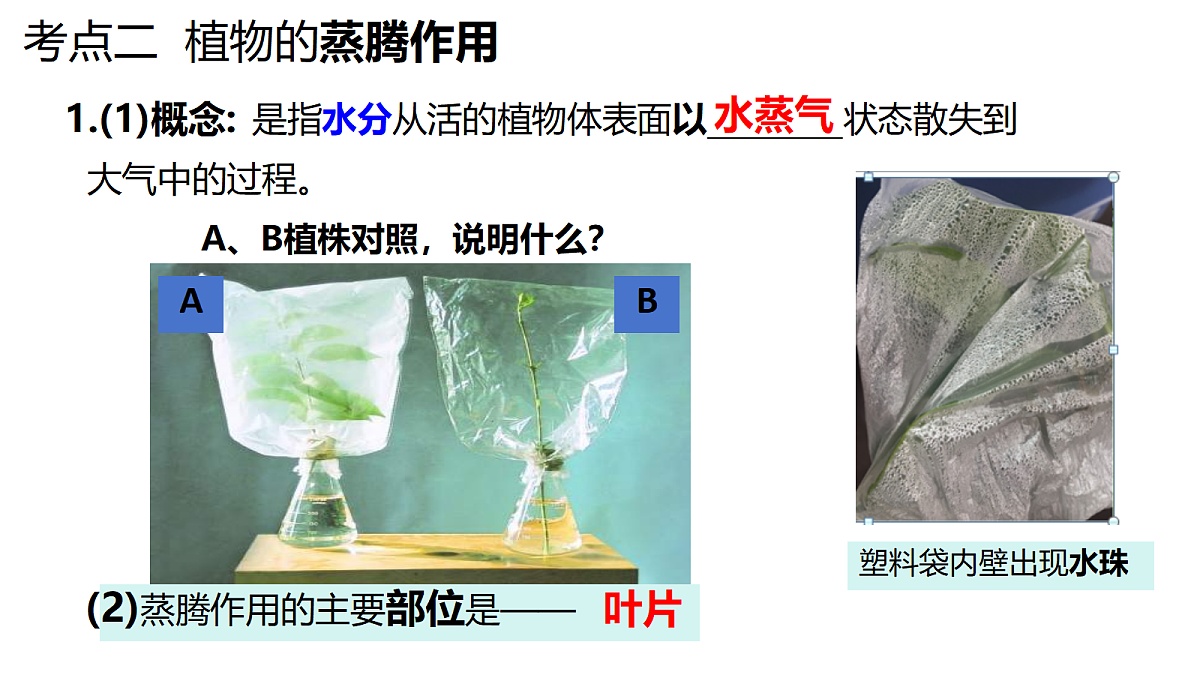 18296257第8页