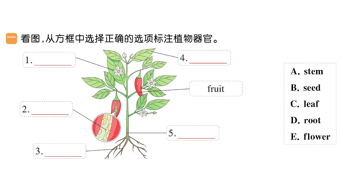 18296425第2页