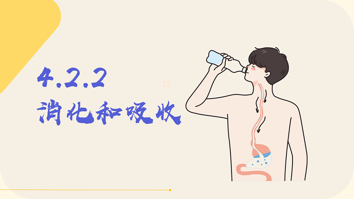 18296449第1页
