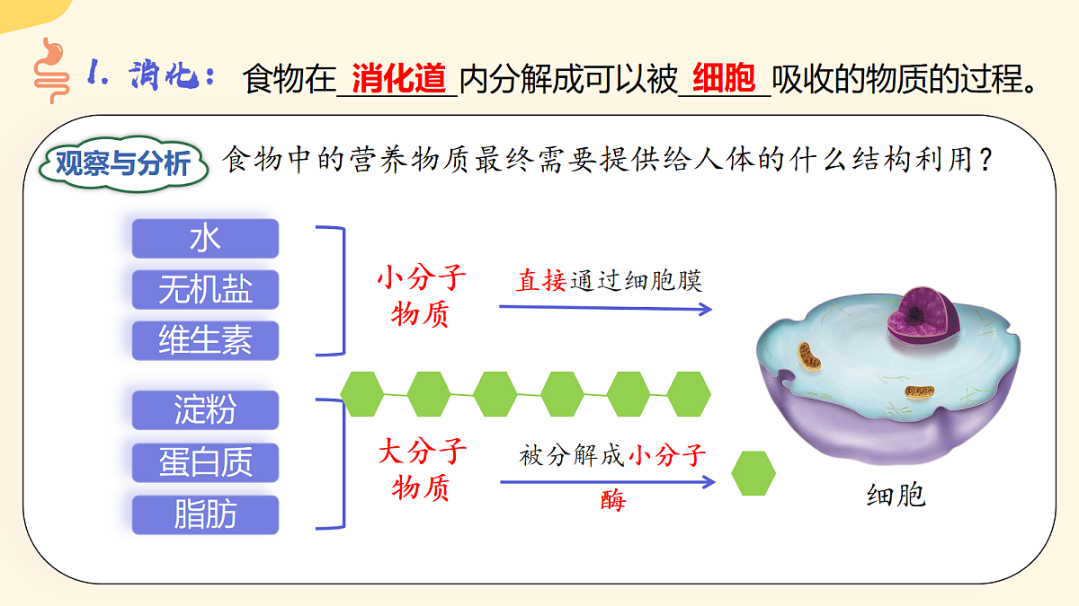 18296449第3页