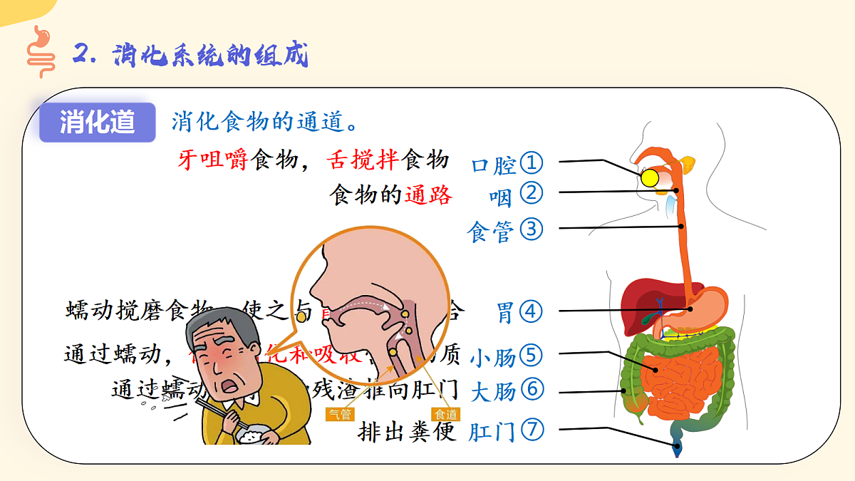 18296449第5页