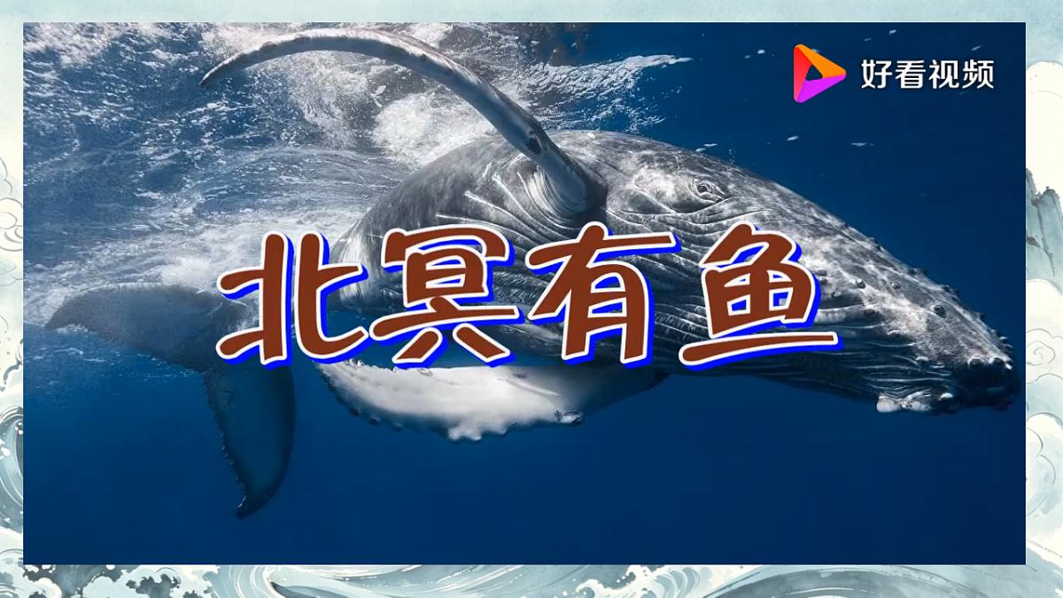 18296486第5页