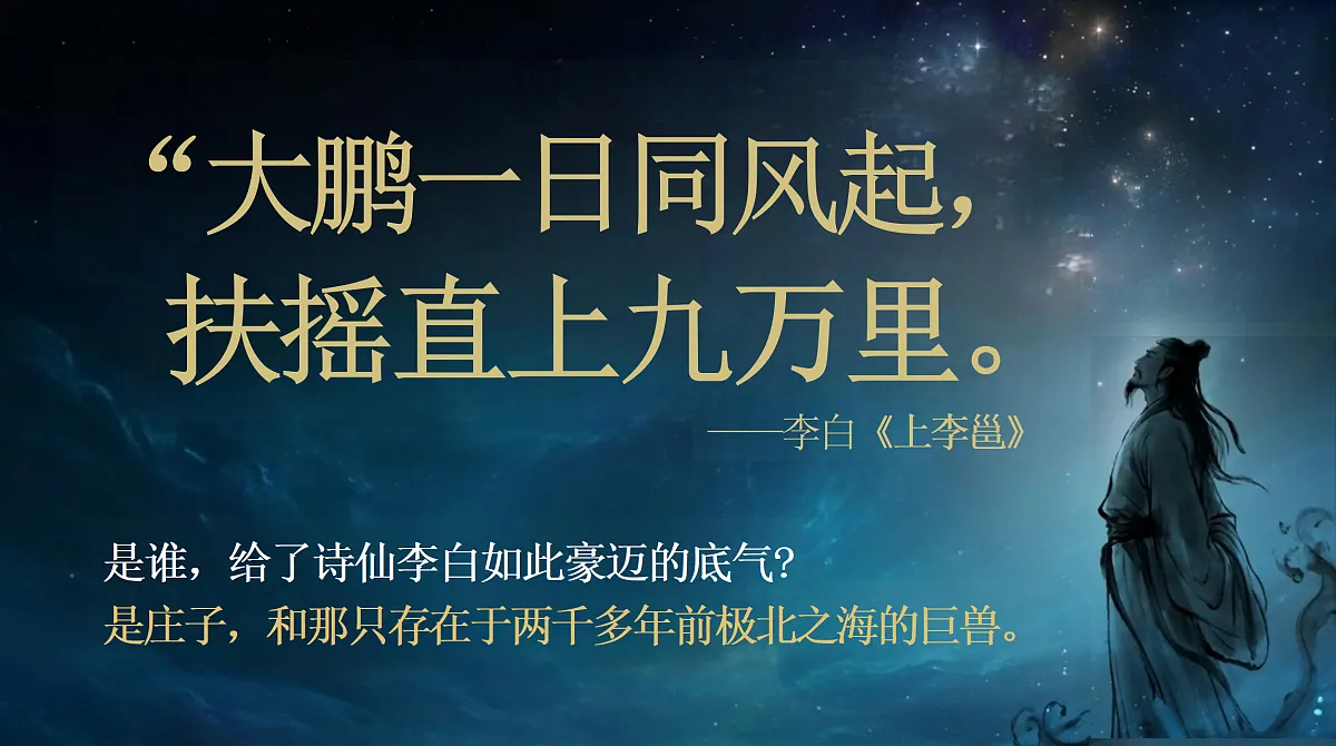 18296487第3页