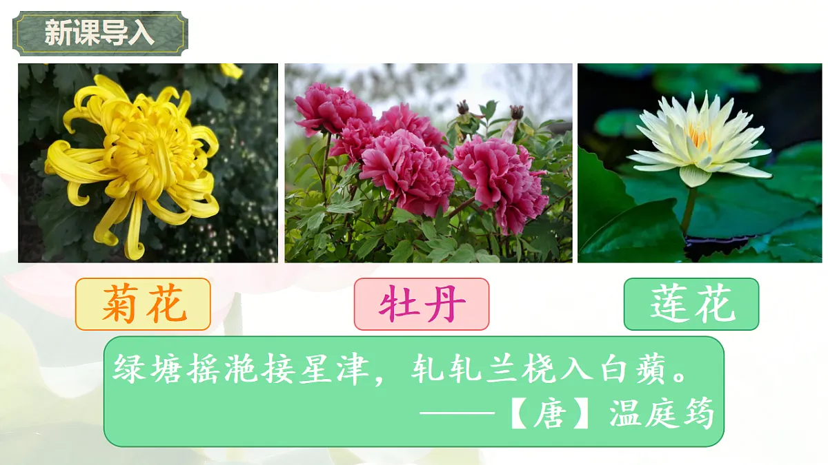 18296508第2页
