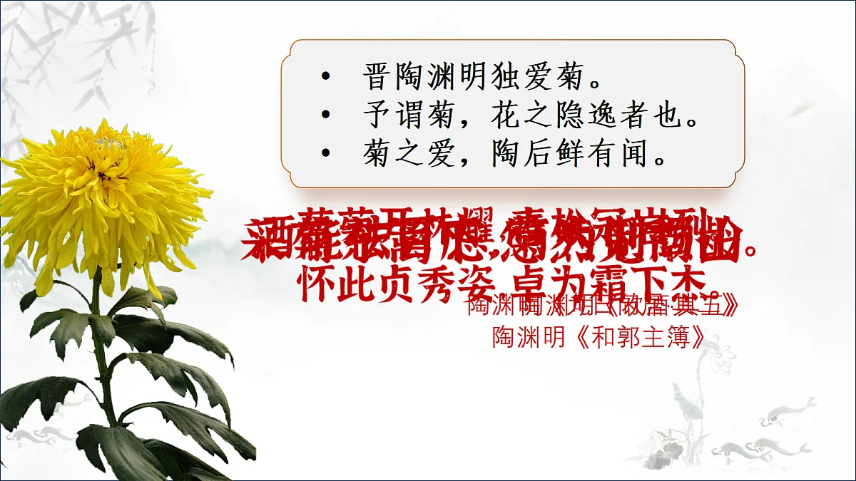 18296509第5页