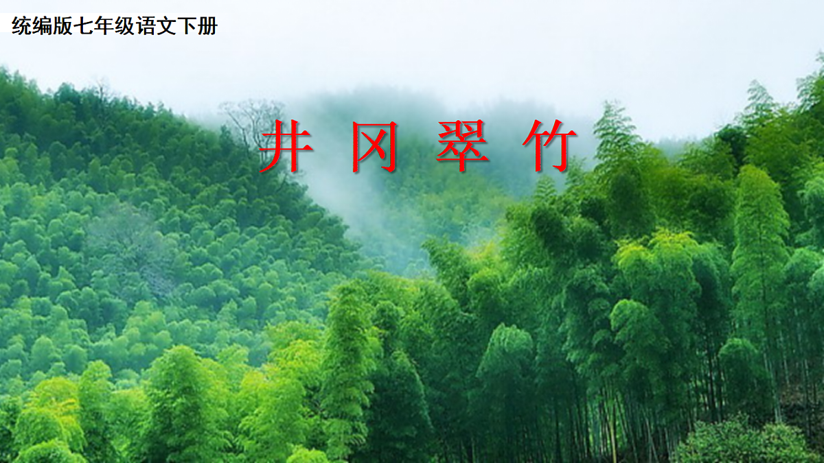 18296896第2页