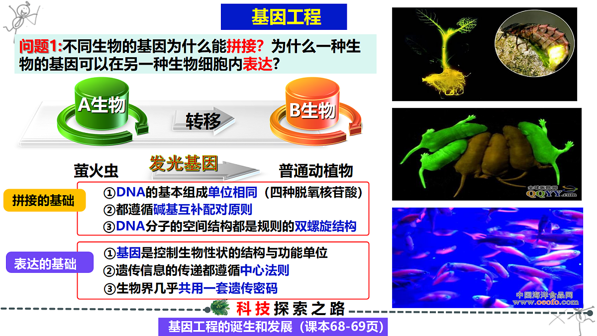 18299300第4页