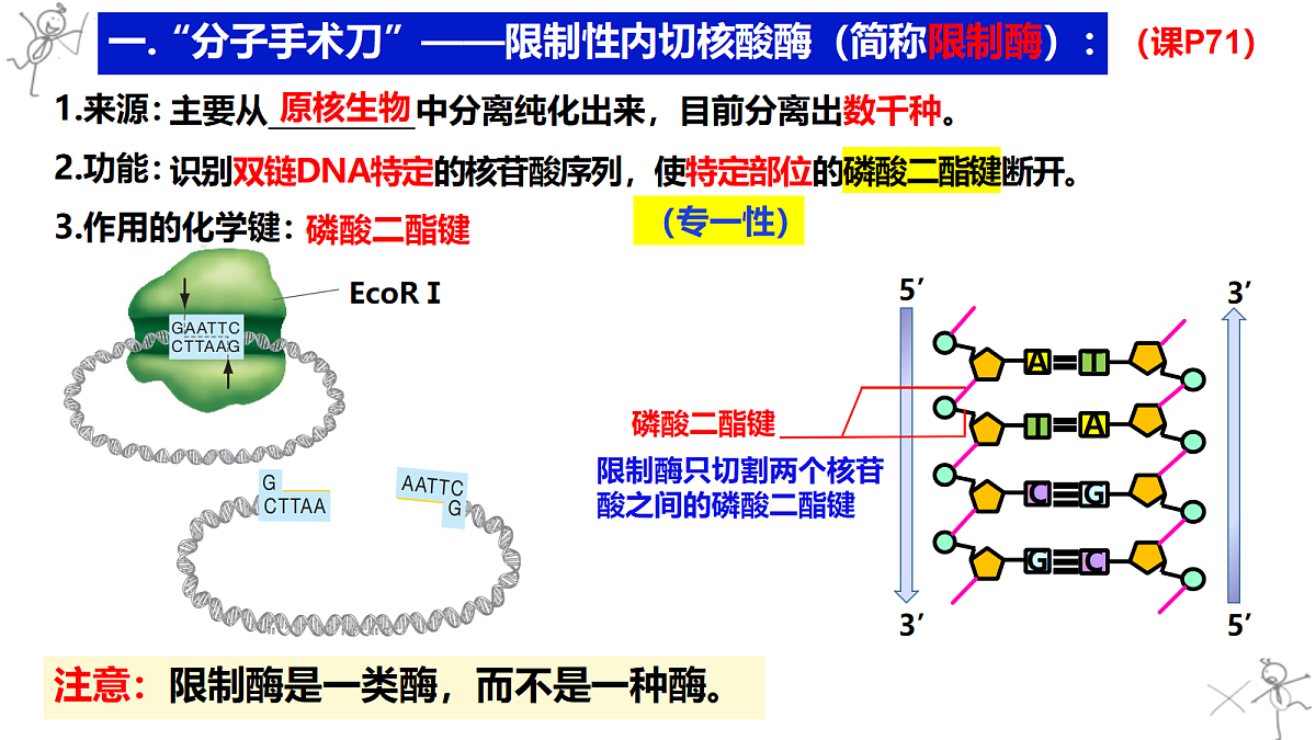 18299300第8页