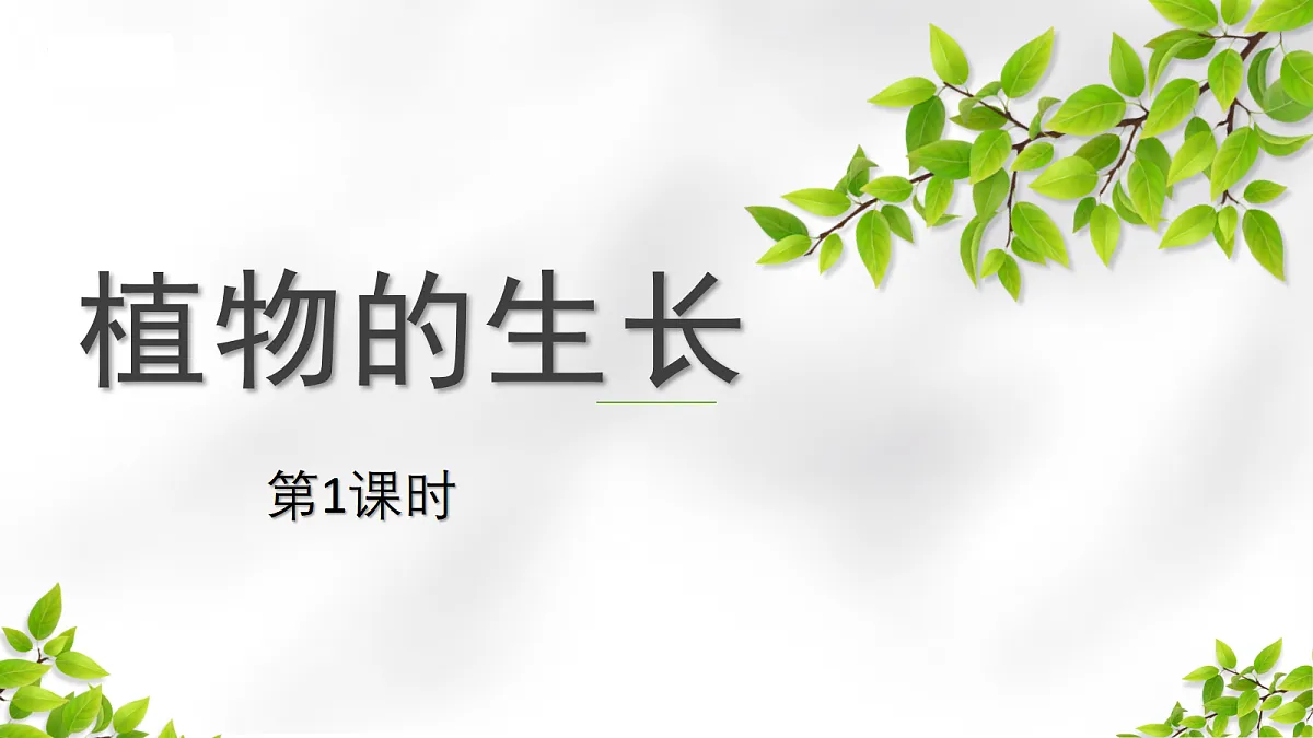 18300393第1页