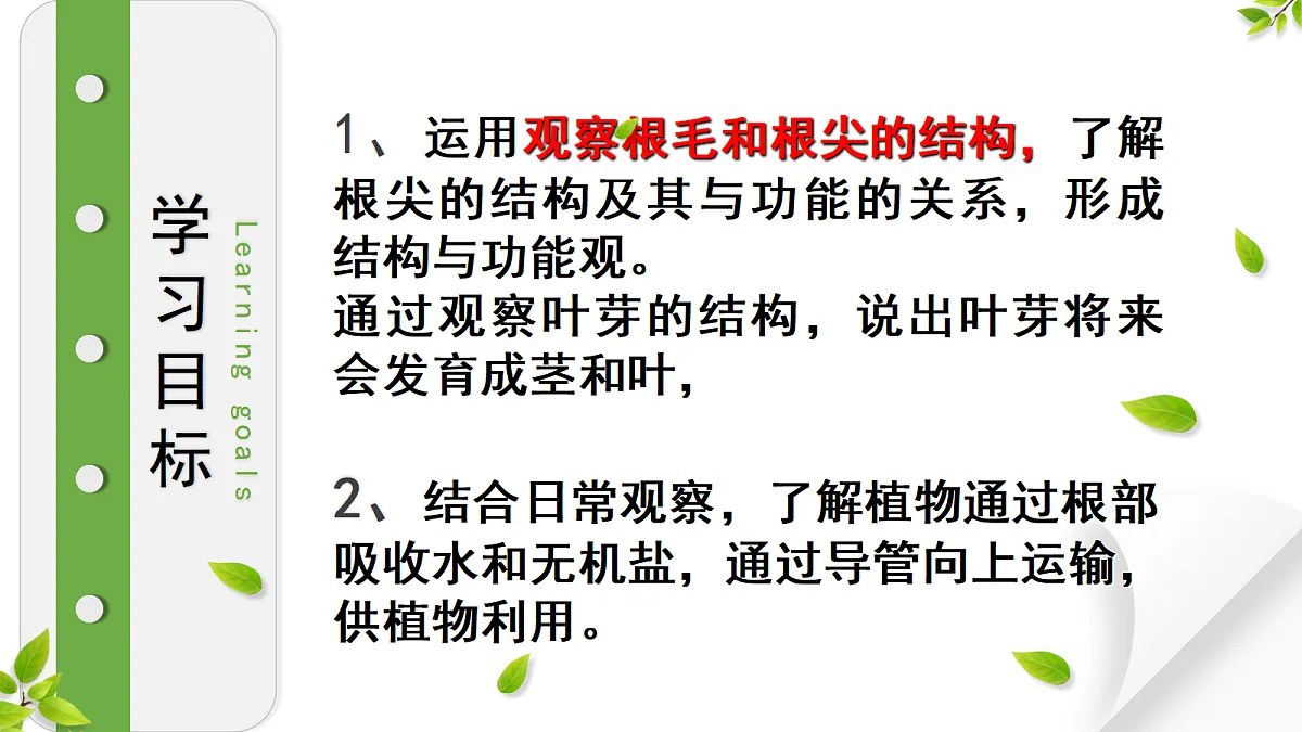 18300393第2页