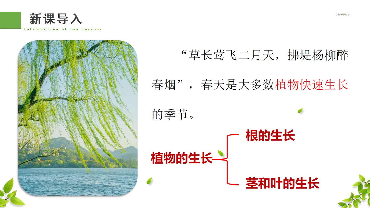 18300393第3页