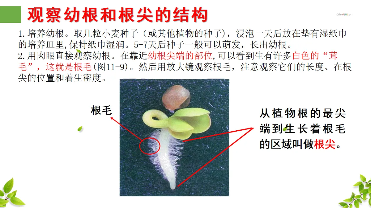 18300393第6页